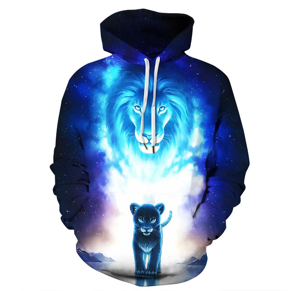 New Aurora Polaris Lion 3D Hoodie Unisex Sweatshirt - mihoodie